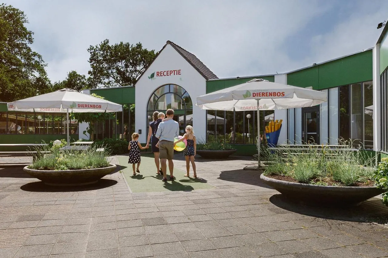 Staying Near Jan van Hoof Galerie: 5 Family Hotels Compared