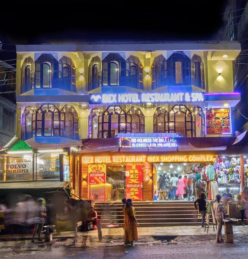4 Family Hotels in New Manali That Stand Out