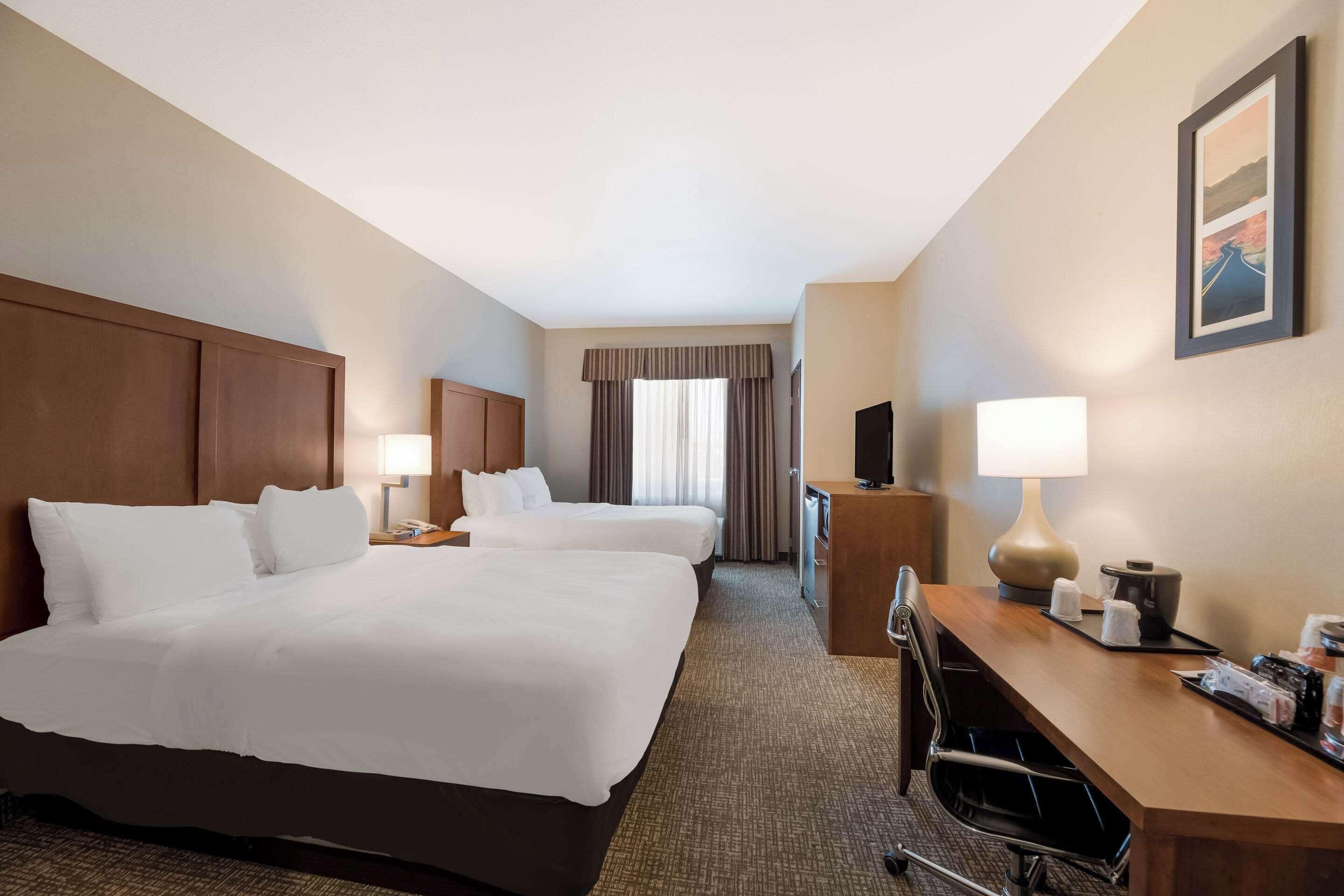 5 Smart Business Hotels Near Las Vegas Natural History Museum